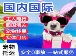 珠海金湾空运地址国际宠物托运 【国